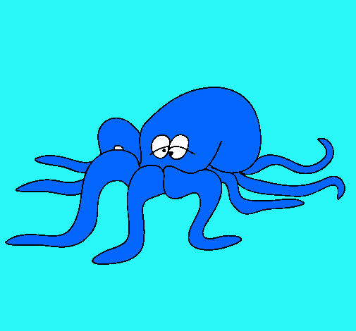 Pulpo