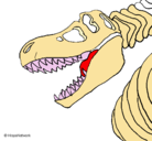 Dibujo Esqueleto tiranosaurio rex pintado por MARCOS