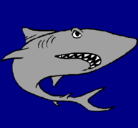 Dibujo Tiburón pintado por ale