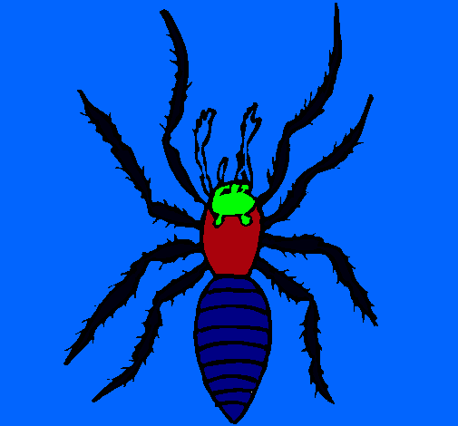 Araña tigre