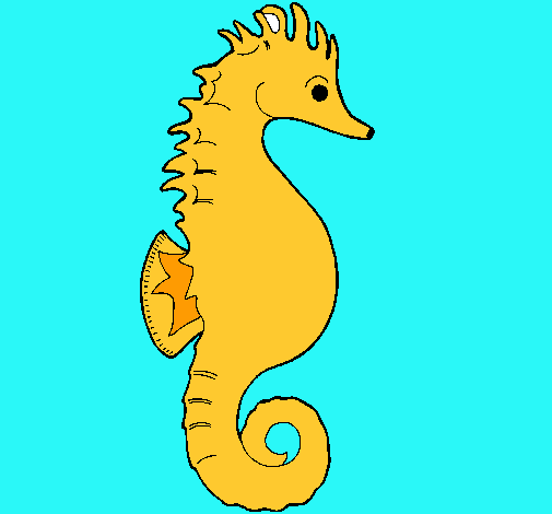 Caballito de mar