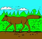 Dibujo Coyote pintado por nicole