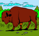 Dibujo Búfalo  pintado por stiven