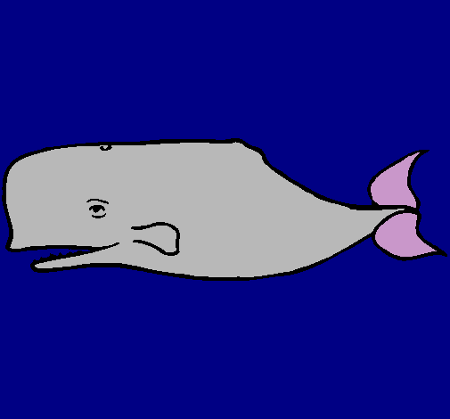 Ballena azul