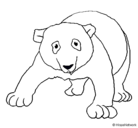 Dibujo Oso panda pintado por PAULA