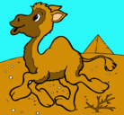 Dibujo Camello pintado por javi