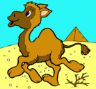 Dibujo Camello pintado por veneno