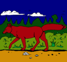 Dibujo Coyote pintado por agustina