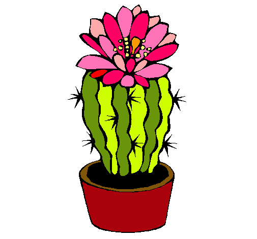 Cactus con flor