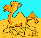 Dibujo Camello pintado por anais