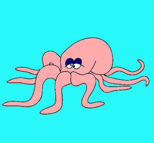 Pulpo