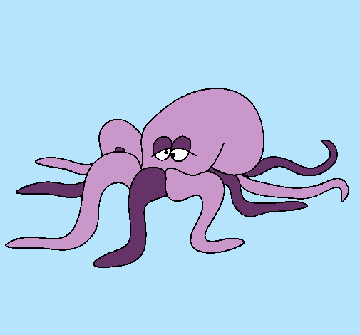 Pulpo