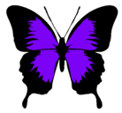 Dibujo Mariposa con alas negras pintado por rosa