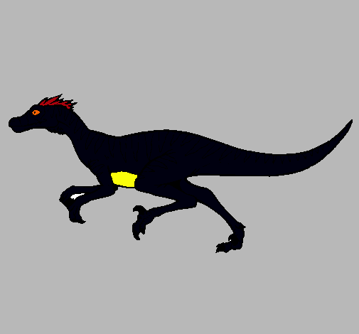 Velociraptor