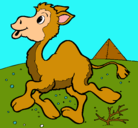 Dibujo Camello pintado por yajaima