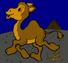 Dibujo Camello pintado por dinayfanny