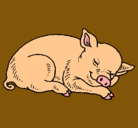 Dibujo Cerdo durmiendo pintado por keychmary