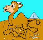 Dibujo Camello pintado por JOSEMITH
