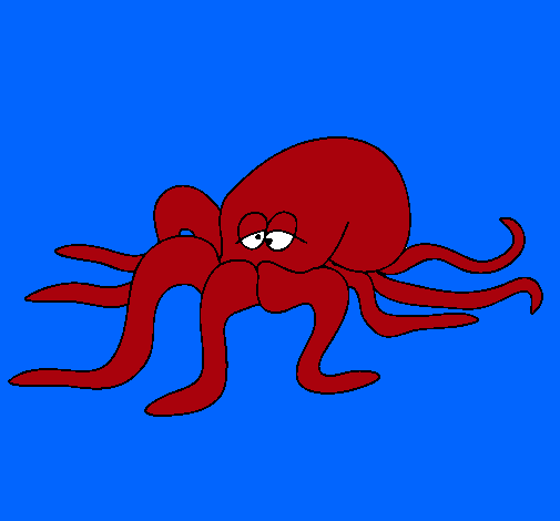 Pulpo