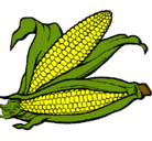 Dibujo Mazorca de maíz pintado por perlamojicabastidas