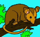 Dibujo Ardilla possum pintado por beatriz