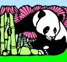 Dibujo Oso panda y bambú pintado por abigail