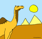 Dibujo Camello pintado por ivan