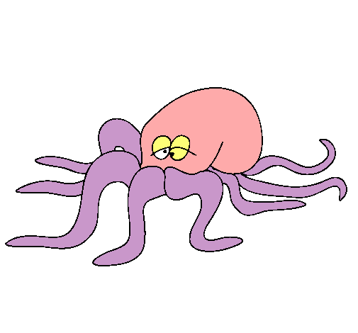 Pulpo