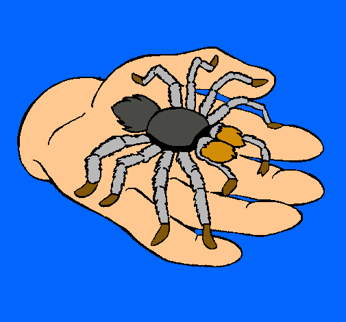 Tarántula