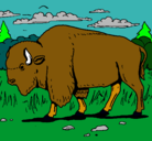 Dibujo Búfalo  pintado por melissa