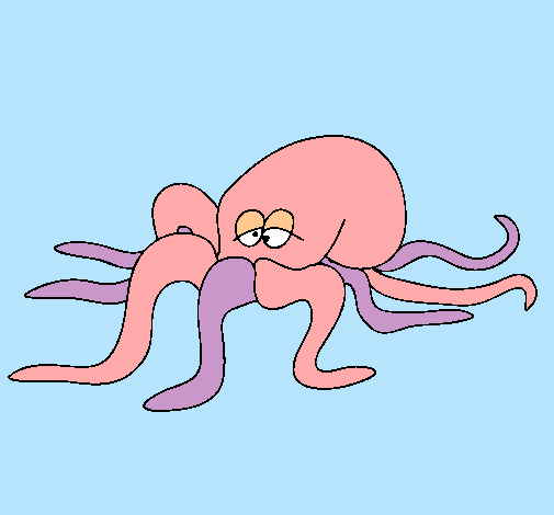 Pulpo