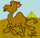Dibujo Camello pintado por diego