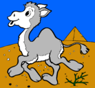 Dibujo Camello pintado por kamila