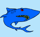 Dibujo Tiburón pintado por ricky