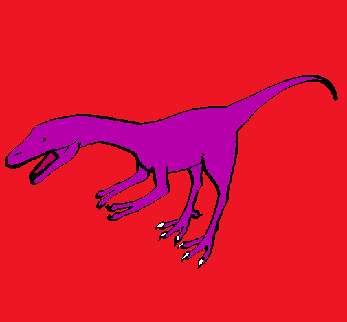 Velociraptor II