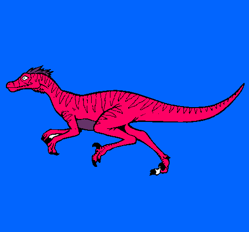 Velociraptor