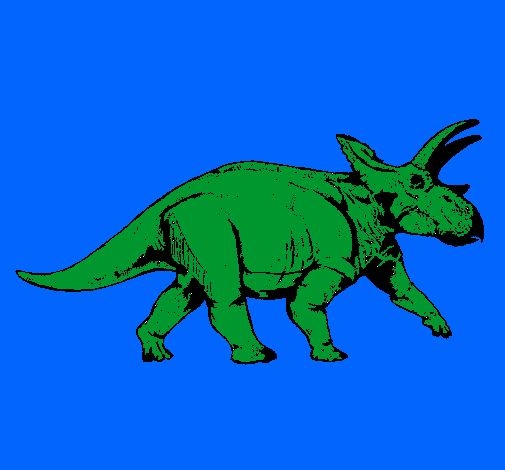 Triceratops