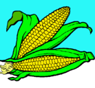 Dibujo Mazorca de maíz pintado por miriam