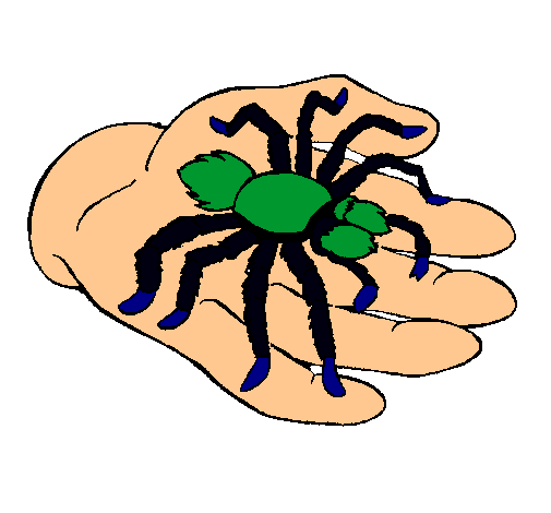 Tarántula