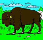 Dibujo Búfalo  pintado por pogo
