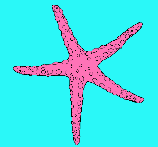 Estrellita de mar