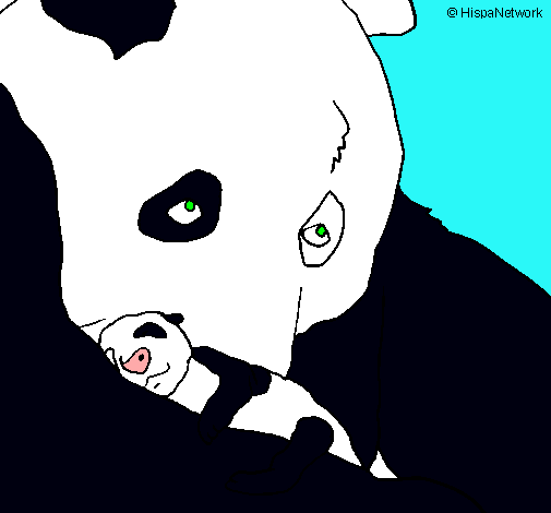 Oso panda con su cria