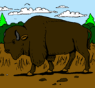 Dibujo Búfalo  pintado por raquel