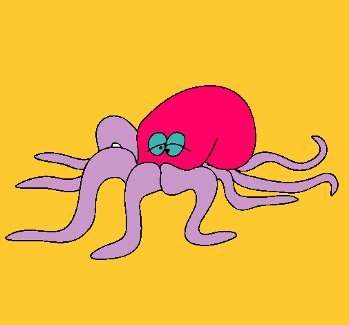 Pulpo