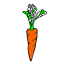 Dibujo zanahoria pintado por pipipi