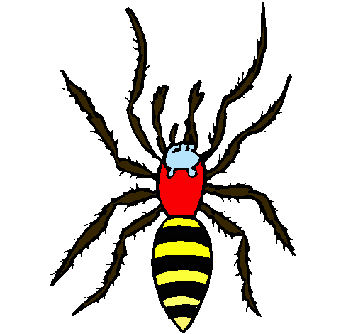 Araña tigre