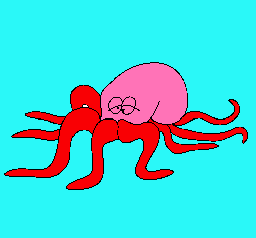 Pulpo