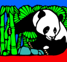 Dibujo Oso panda y bambú pintado por rafael
