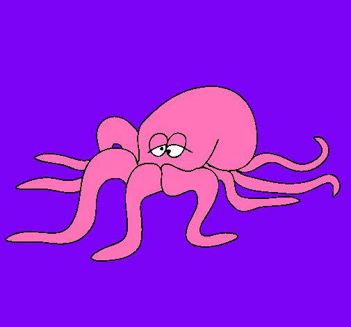 Pulpo