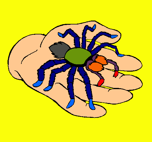 Tarántula